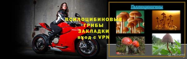 дживик Вяземский