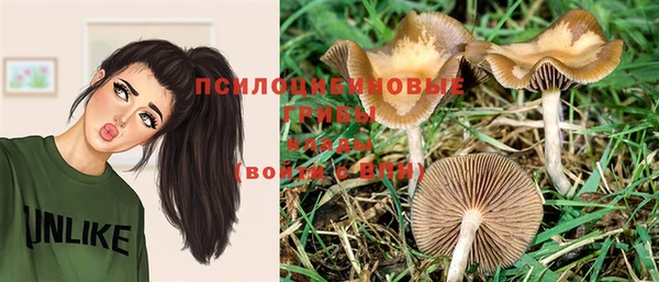 спайс Горнозаводск