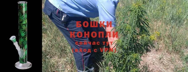 прущая мука Горняк