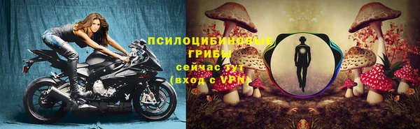 прущая мука Горняк