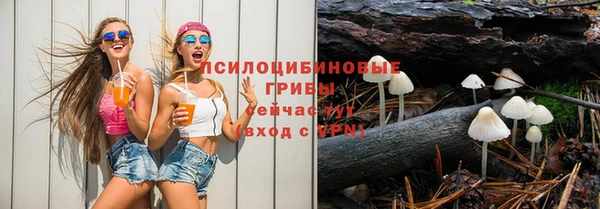 mix Гусь-Хрустальный