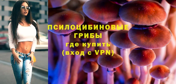 mix Гусь-Хрустальный